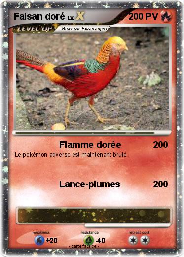 Pokemon Faisan doré