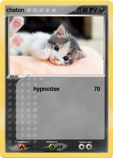 Pokemon chaton