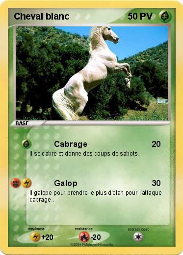 Pokemon Cheval blanc