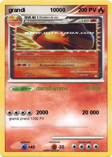 Pokemon grandi                10000