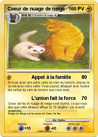 Pokemon Coeur de nuage de neige