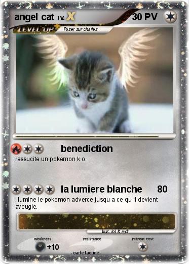 Pokemon angel cat