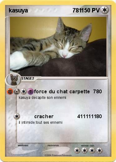 Pokemon kasuya                            781