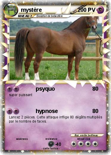 Pokemon mystère