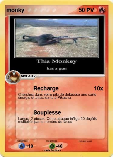 Pokemon monky