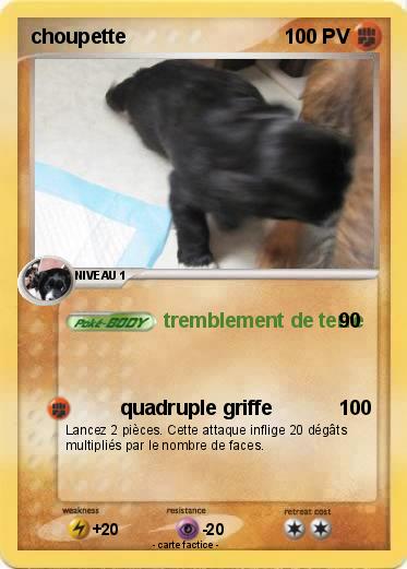 Pokemon choupette