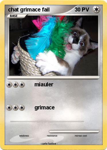 Pokemon chat grimace fail