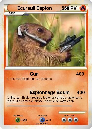 Pokemon Ecureuil Espion        5