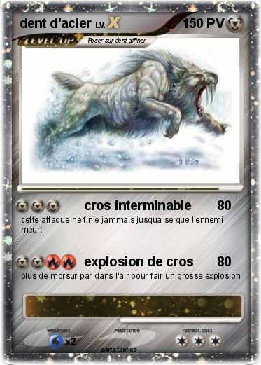 Pokemon dent d'acier