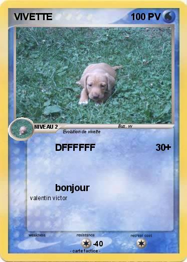 Pokemon VIVETTE