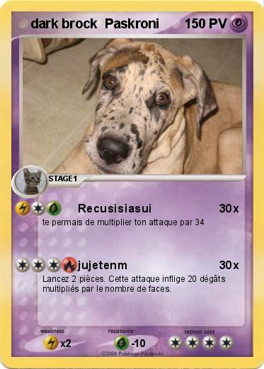 Pokemon    dark brock  Paskroni