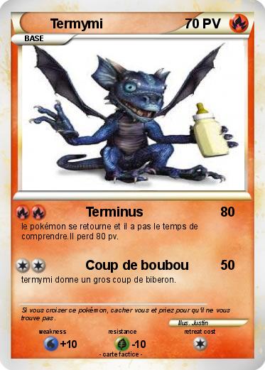 Pokemon Termymi