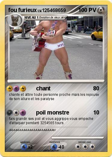 Pokemon fou furieux