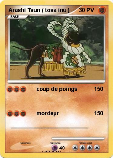Pokemon Arashi Tsun ( tosa inu )