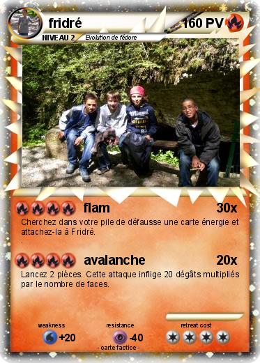 Pokemon fridré