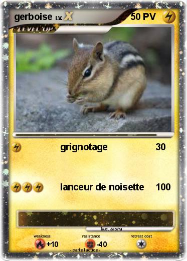 Pokemon gerboise