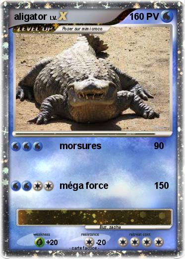 Pokemon aligator