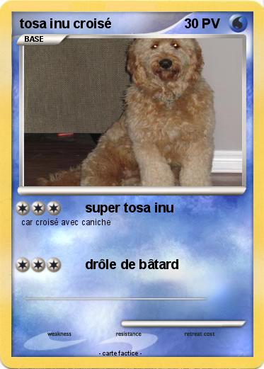 Pokemon tosa inu croisé