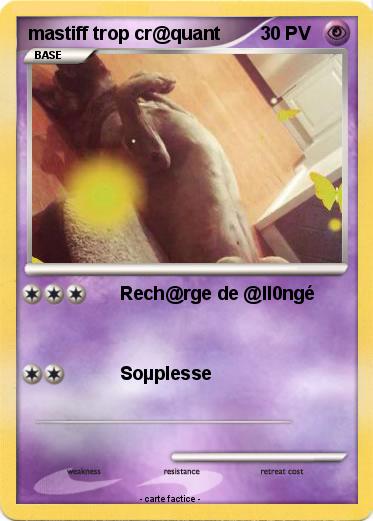 Pokemon mastiff trop cr@quant