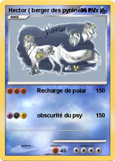 Pokemon Hector ( berger des pyrénées mix )