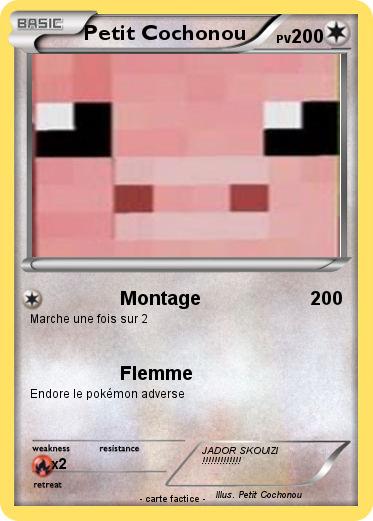 Pokemon Petit Cochonou
