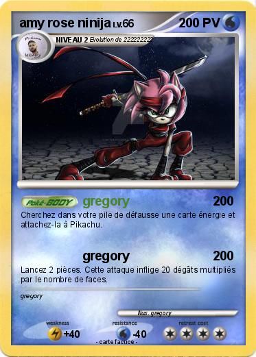 Pokemon amy rose ninija