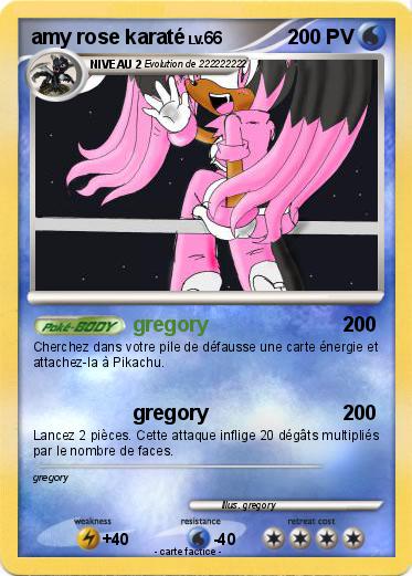 Pokemon amy rose karaté