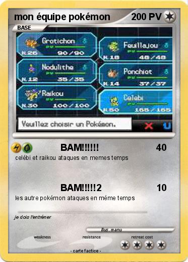 Pokemon mon équipe pokémon
