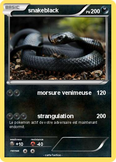 Pokemon snakeblack