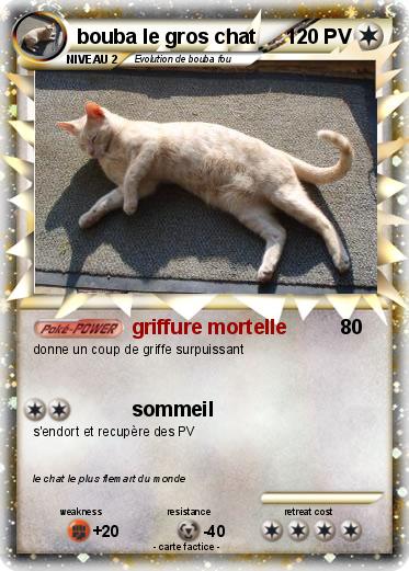 Pokemon bouba le gros chat