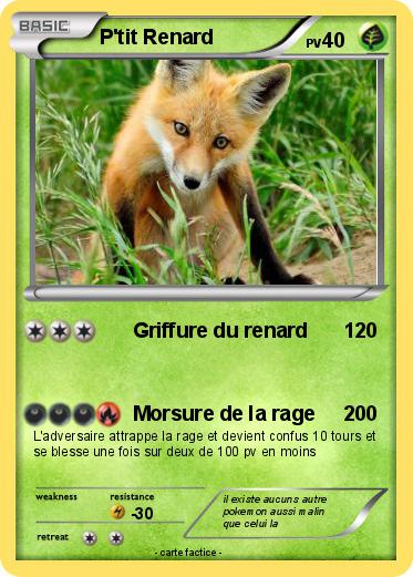 Pokemon P'tit Renard