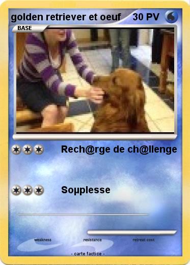 Pokemon golden retriever et oeuf