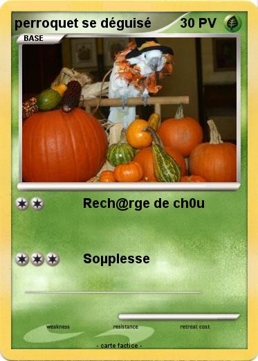 Pokemon perroquet se déguisé