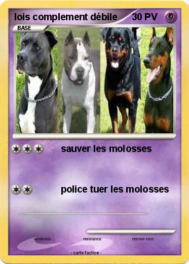 Pokemon lois complement débile