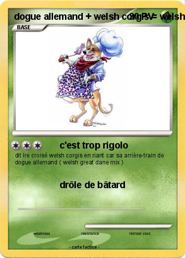 Pokemon dogue allemand + welsh corgis = welsh great dane mix