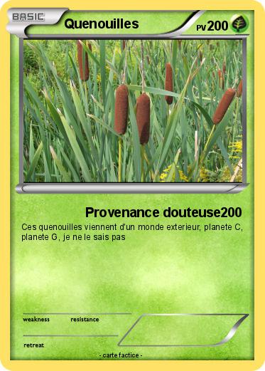Pokemon Quenouilles