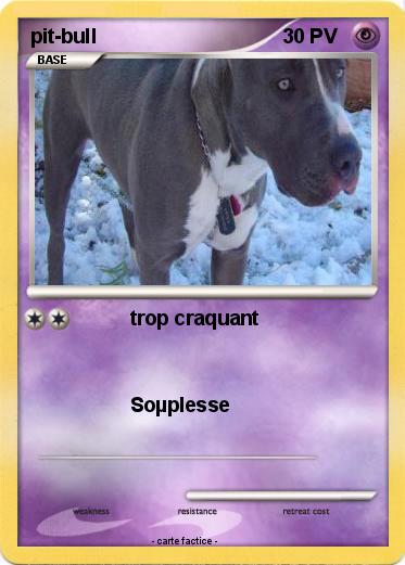 Pokemon pit-bull