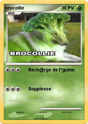 Pokemon brocollie