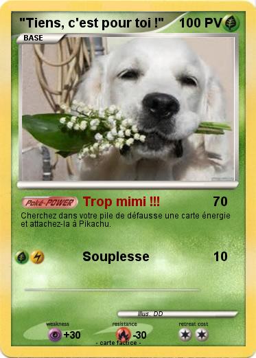 Pokemon "Tiens, c'est pour toi !"