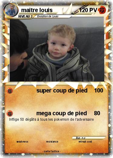 Pokemon maître louis