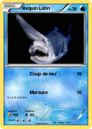 Pokemon Requin Lutin