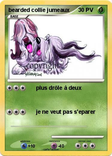 Pokemon bearded collie jumeaux