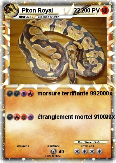 Pokemon Piton Royal             22