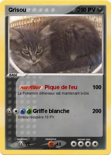 Pokemon Grisou