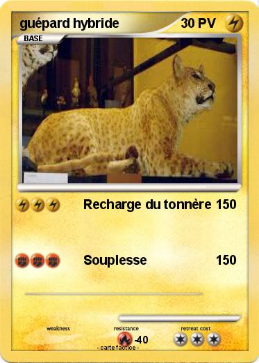 Pokemon guépard hybride