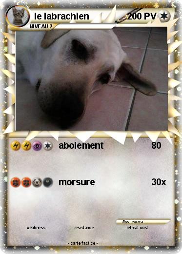 Pokemon le labrachien