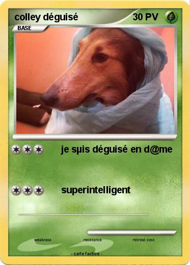 Pokemon colley déguisé