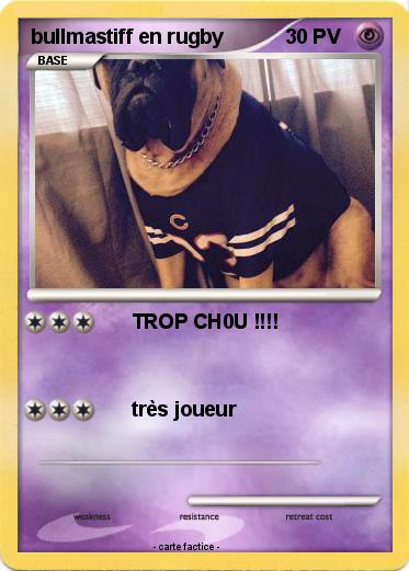 Pokemon bullmastiff en rugby