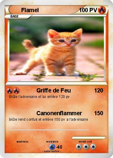 Pokemon Flamel