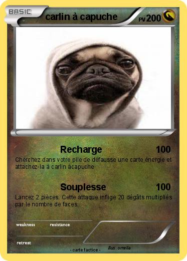 Pokemon carlin à capuche